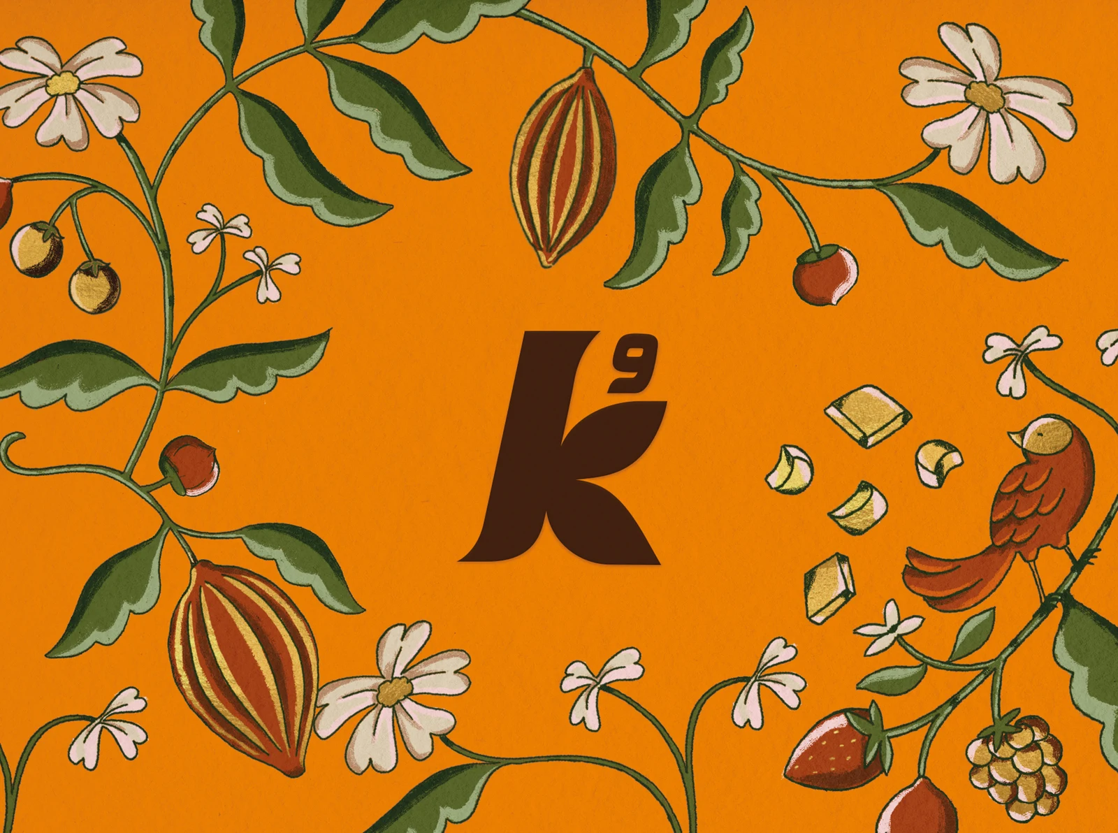 Koko 9 design project
